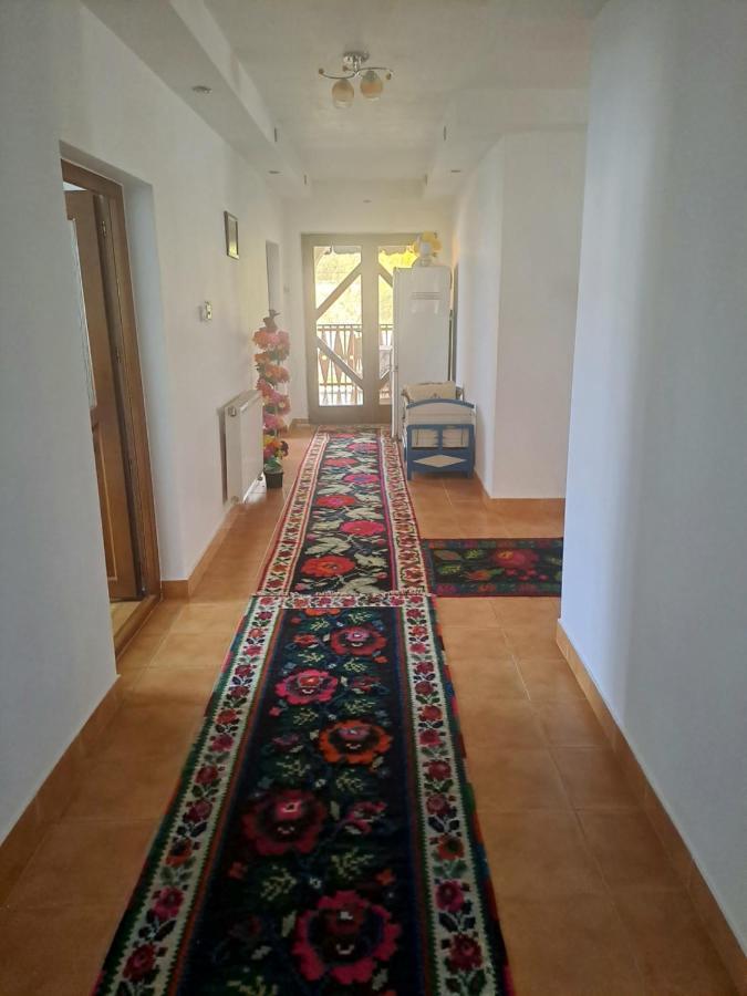 Pensiunea Rednic Lenuta Giulesti Exterior photo